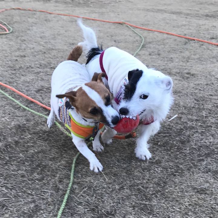 0647fbef 1ad5 4617 8bda 65a0235f9617