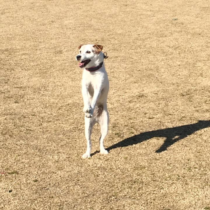 064926ee 75fa 4ff1 9ccb 2bc0aac12497