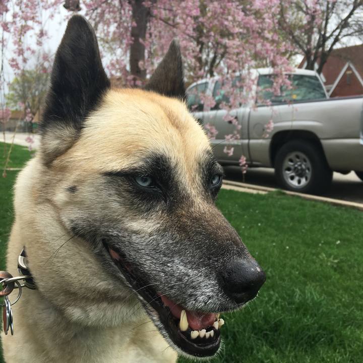 064a0dc9 d446 4e6e 8385 96f37eec36df