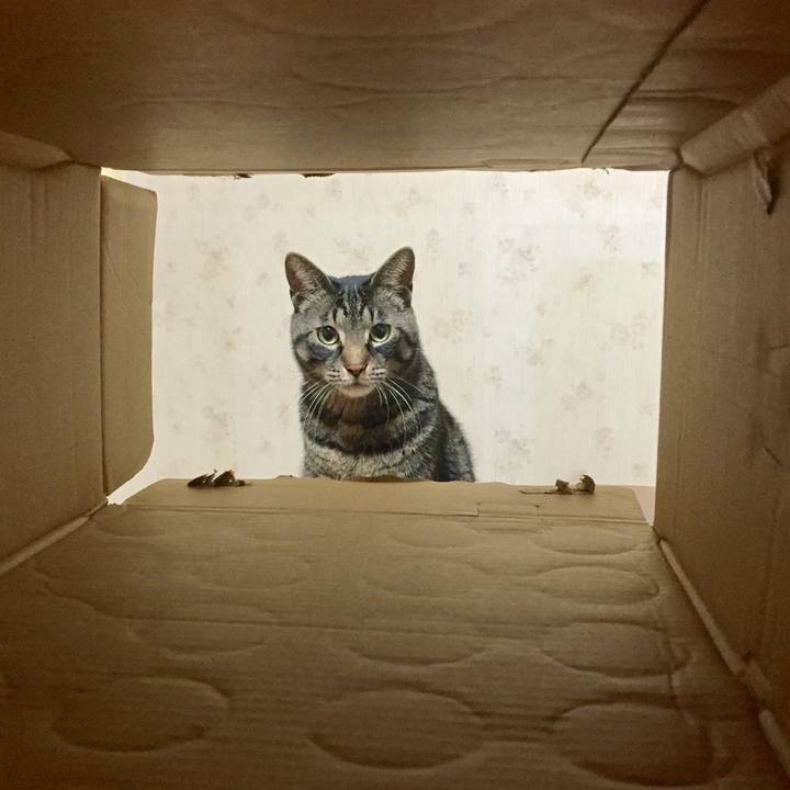 064ad2c8 ba15 4a6f a9f6 b19cf0f53a2c