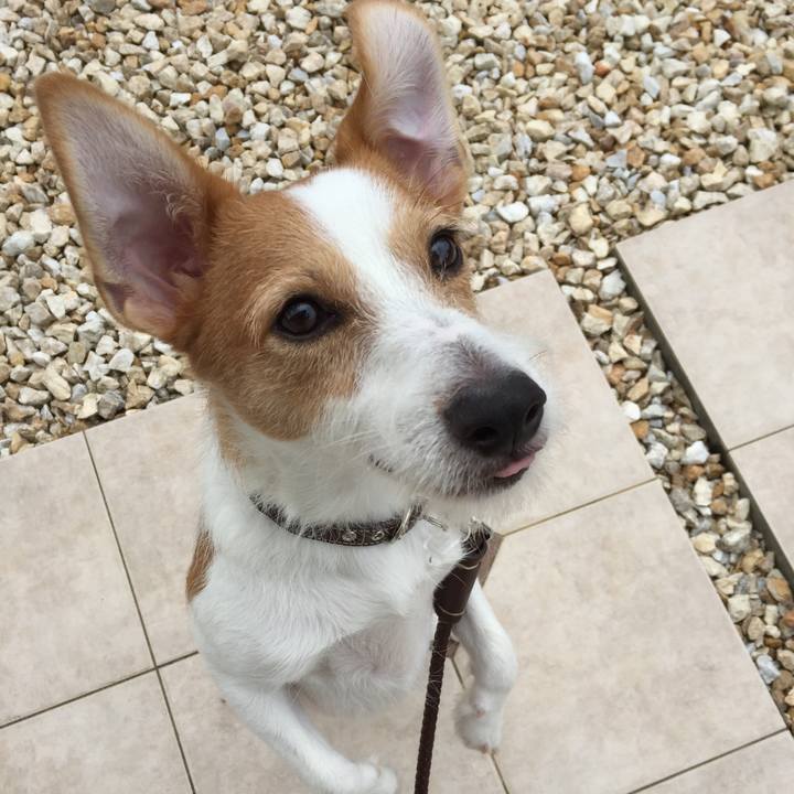 064b1452 74ea 4435 aee2 92074a377d20