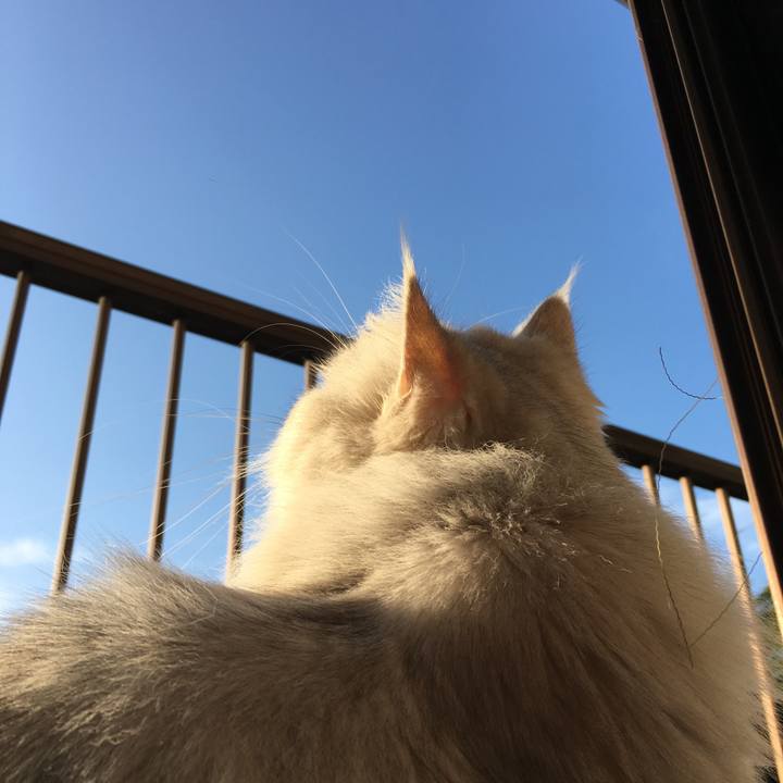 064b59b4 91f2 4776 89ec 323fc9cc7c76