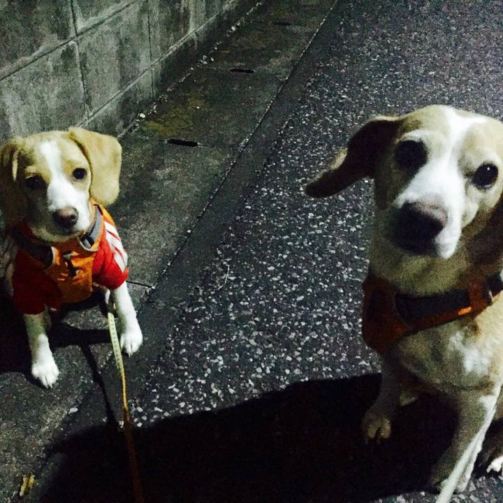 064b61cd 65d5 431a bb08 4e71c679c22e