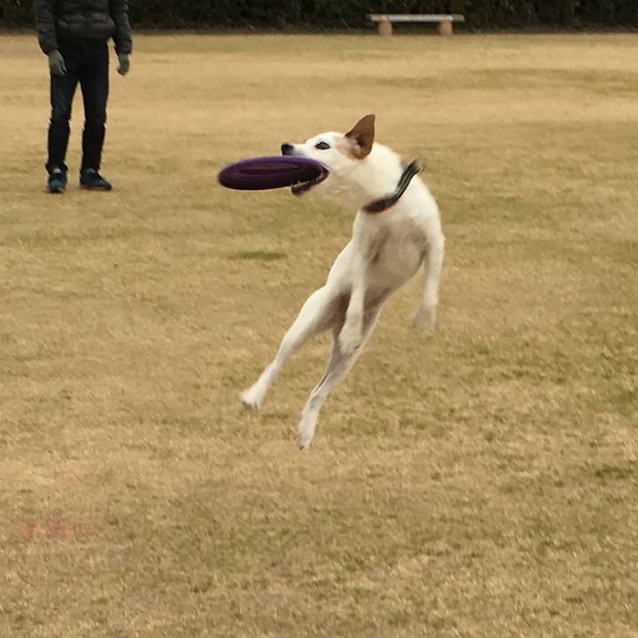 064b66da 7f67 4716 a124 5058ca6ac6ec