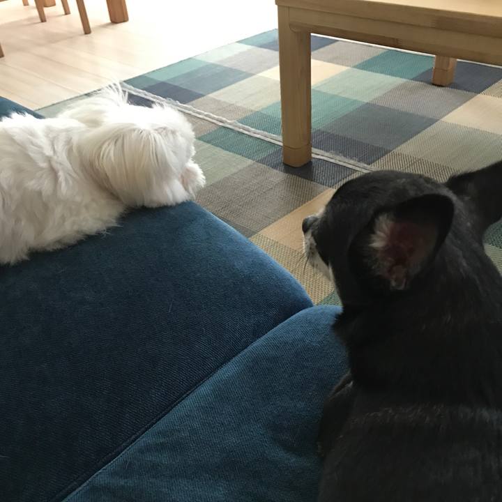 064b97b6 70fb 4773 a222 f717298c5805