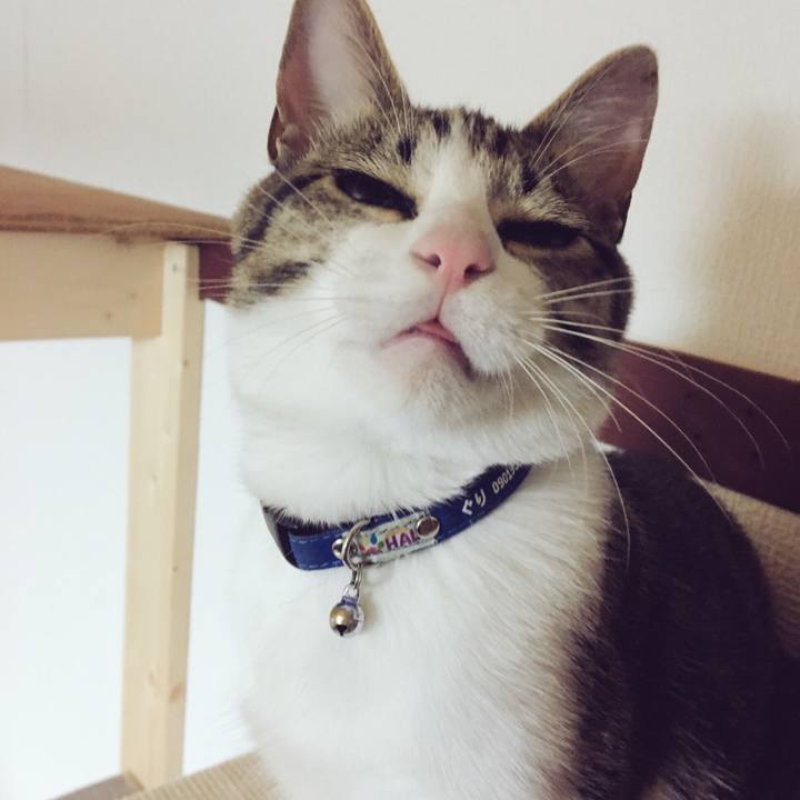 064ba349 f0a6 4615 9b17 15479e8293a0