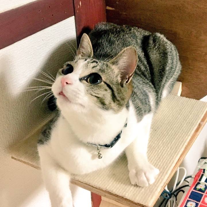 064bd340 f38c 49cb 84d0 9471e3caf537