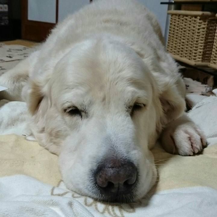 064c3d3d 12a0 4b2e 930a 58f1ee8004f2