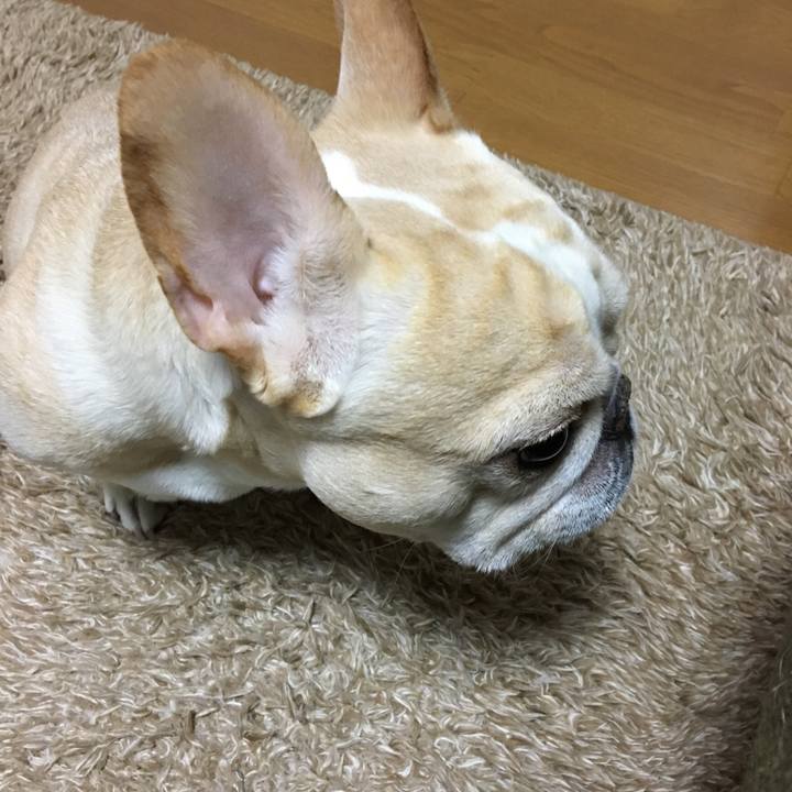 064cf04f 79e9 42bc bcfc a4868cc8af1b