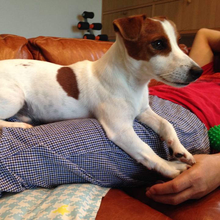 064d47d0 bba4 46ac 8bf3 4332f2e12392