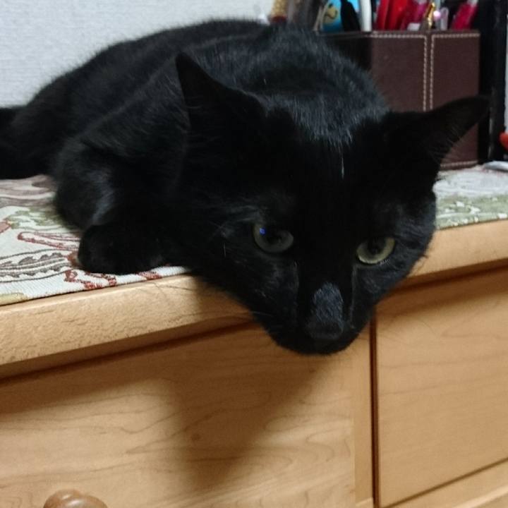 064d5c57 dde5 4a5b 8b5e 0a2fbbd8b8ae