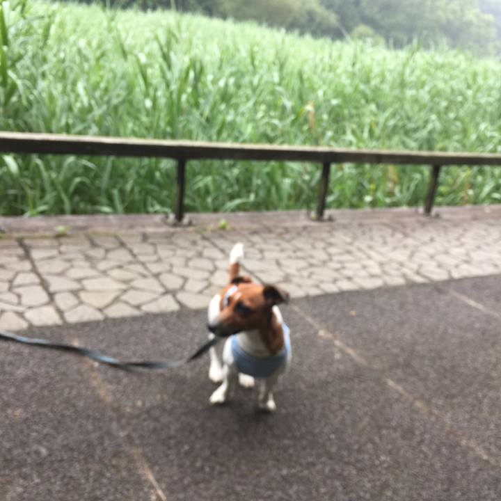 064d6855 781c 4eed 8eb2 611177037ef2