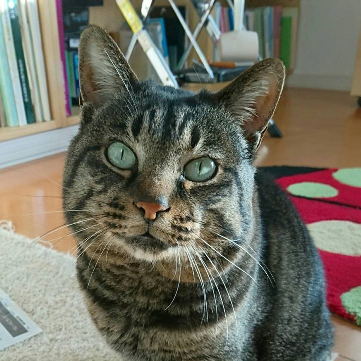 064d963a e313 4eba a8cb 5608586b0580