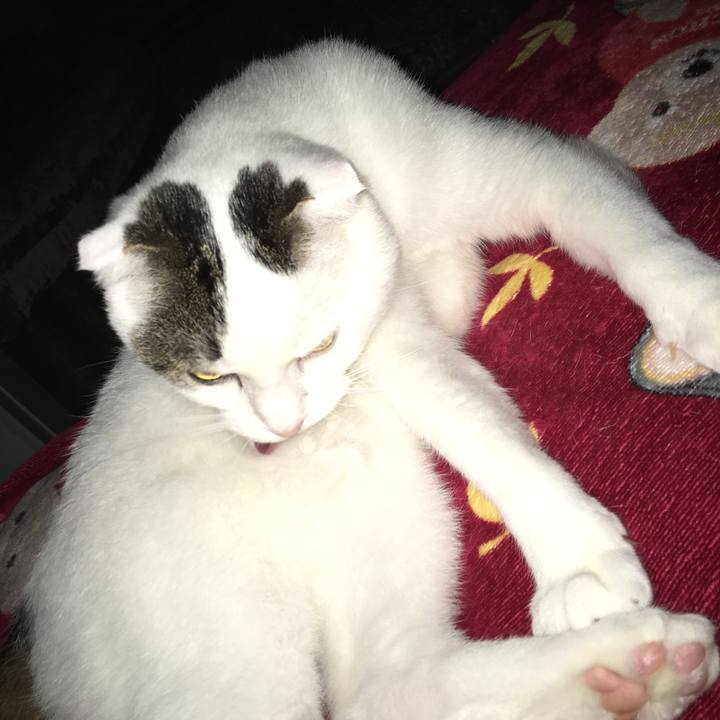 064dca45 772f 489f 9a39 64fcd7984499