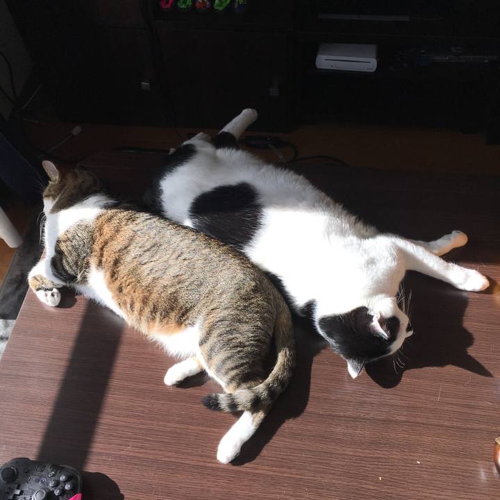 064dd9e7 d5a0 4a24 9e9d e8bcaeebc657