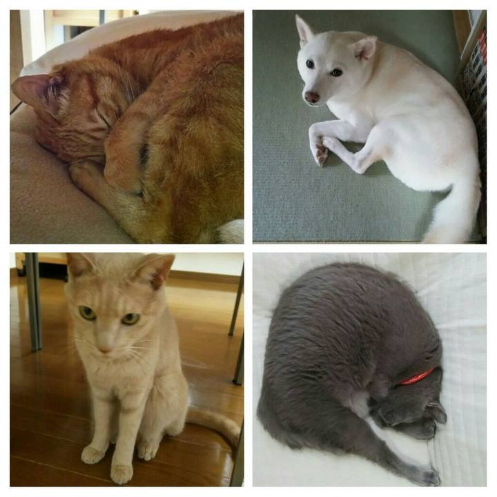 064dda44 226e 4739 b9c5 21d2073ea776