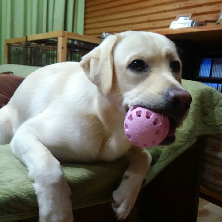 064e7a7e 4e02 480b 892f 6f5c50231efc