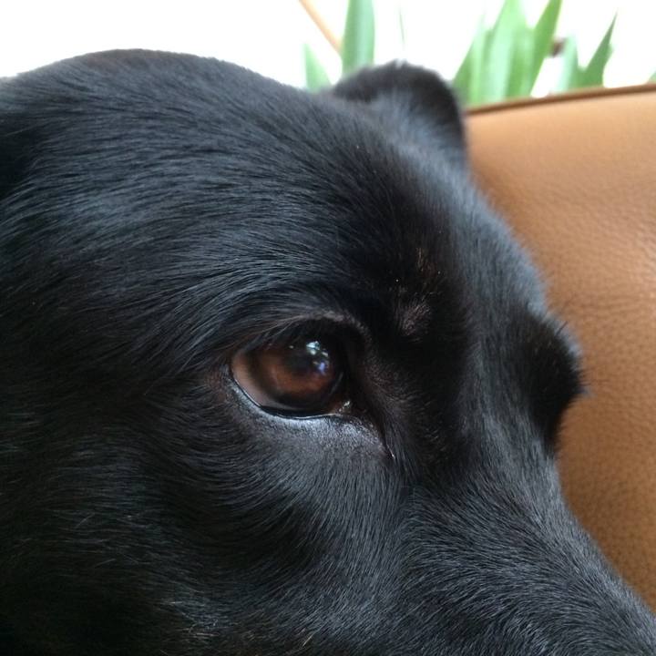 064fb87e 65a7 4947 b5b3 7baa686569f5