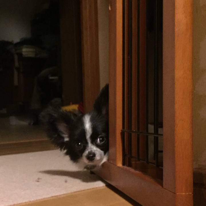 064fd432 4611 4edc b8a6 ee84faf823bb