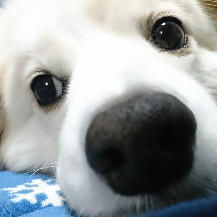 0650783f ac95 4ee9 aa31 ae45a9b396ca