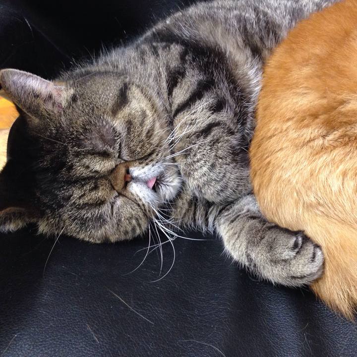 06511d72 f1f0 4646 9c38 283afdd696b1