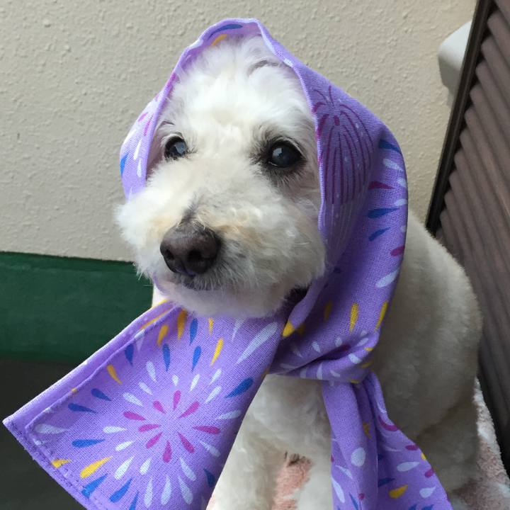 06513d49 46be 4e25 8c3c e61cbba4a81f