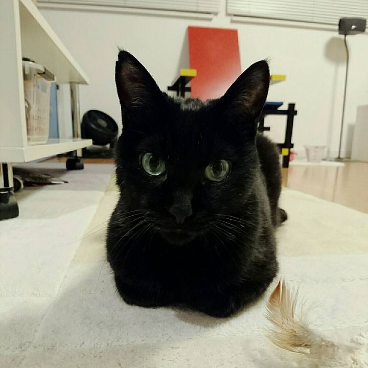 06516b83 d3eb 48be 9182 386ed8ae62a9