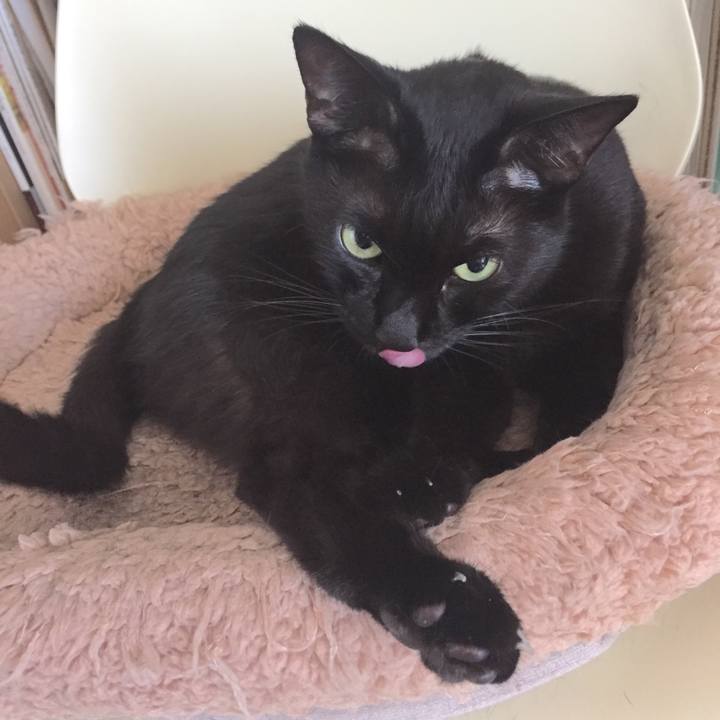 06517128 79b8 4f11 9169 11f04f233a56