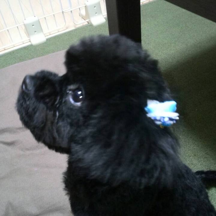 06518196 bfb1 41e5 828d 094fd200288a