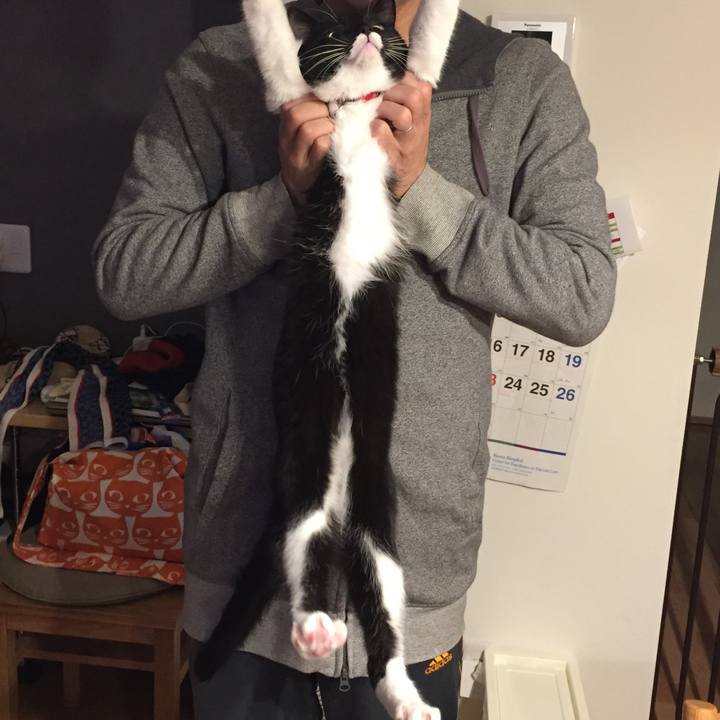 0651b3ae d1c0 4cdf 9ca9 36027c037b38