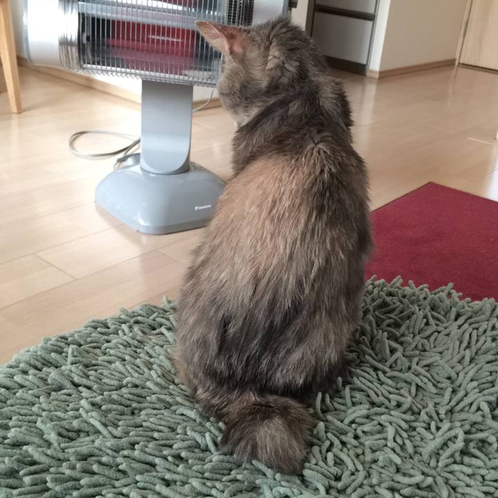 0651b56b dd10 4321 af51 7e77bc4e3bbf