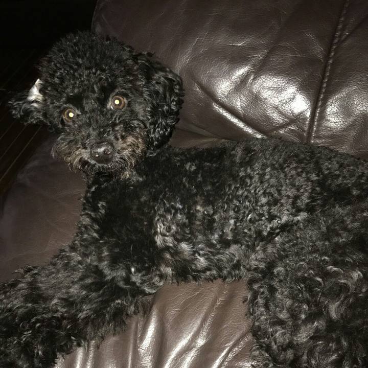 0651f901 0cc5 4a2b 8fb5 56de9c6eccd8