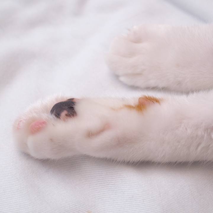 06529888 28d2 4d1c a6eb 53de4ac3169e