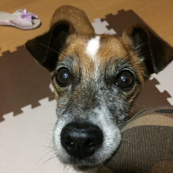 0653d979 04e5 46e7 9c5c a57695ab60d3