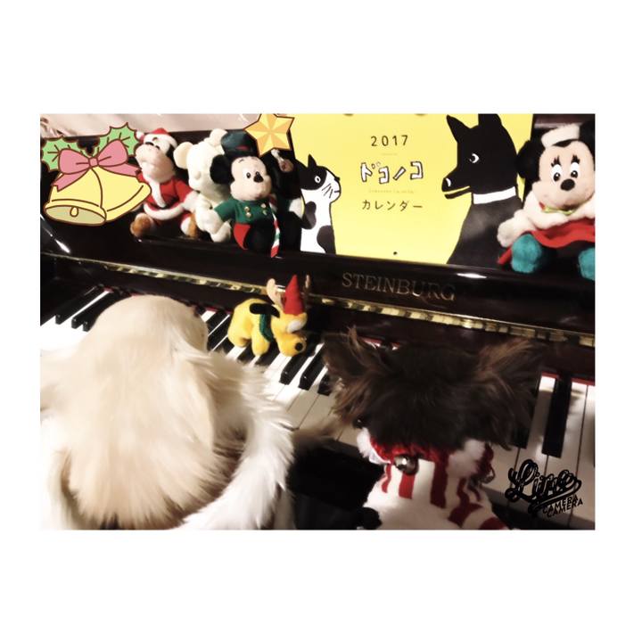 0654113f c2aa 4dbc b3d0 9729b6e45709