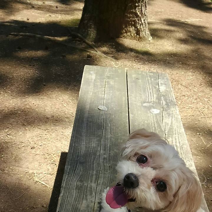 065495d7 eac8 4ab3 b727 f7990cbf3851