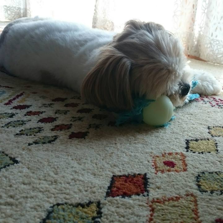 0654a100 a1dc 40be 8160 4312521217d3