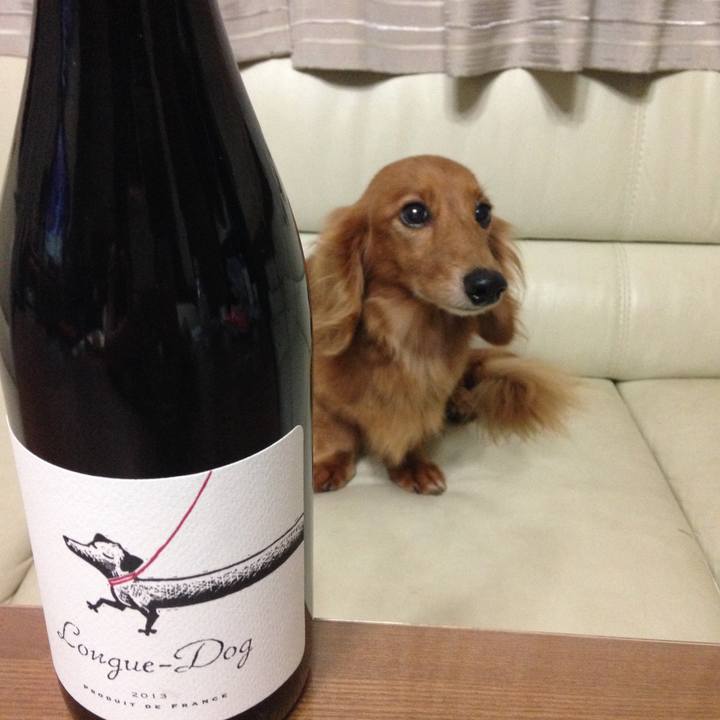 0655321b de61 4f65 a11b 155623336abe