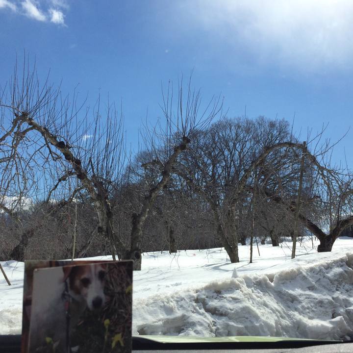 06559bda 6d83 46eb a52b f2d1ad0e41af