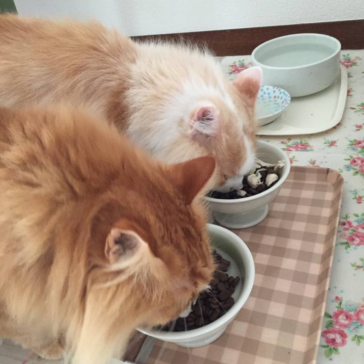 06559fe6 3340 4fb0 a43a 4925c0a63104