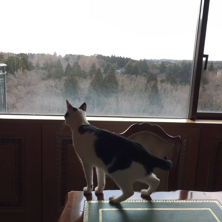 0655a352 705b 4d5d 93d6 a151549d7502