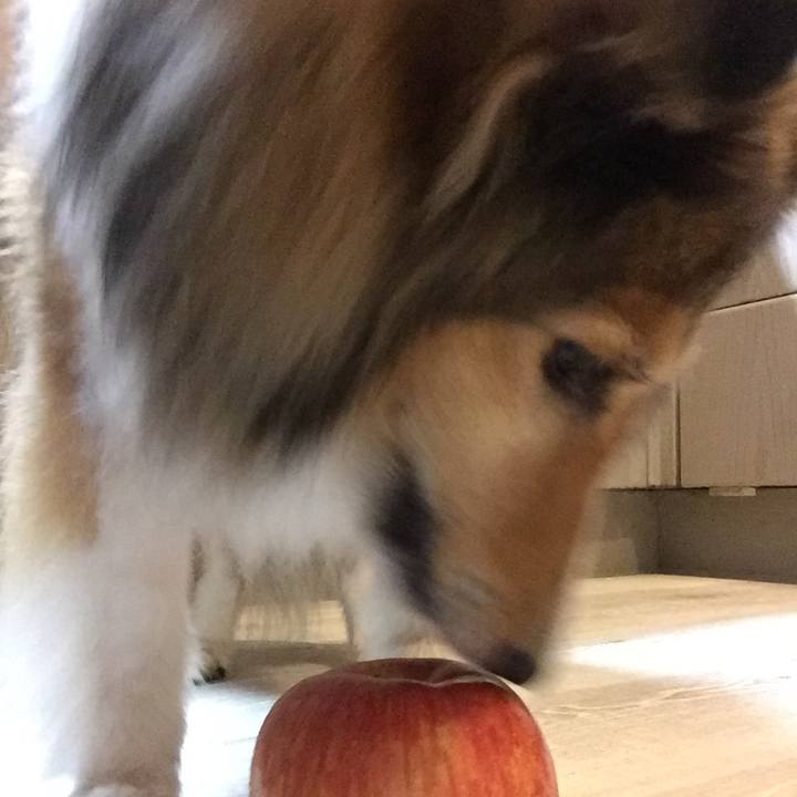 0655f375 7da5 4d5f bade caa68a7f16fc