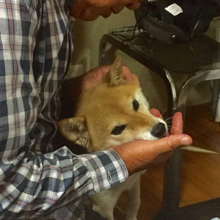 0657609e 6da2 4ce6 8060 71b0bb45dc0b