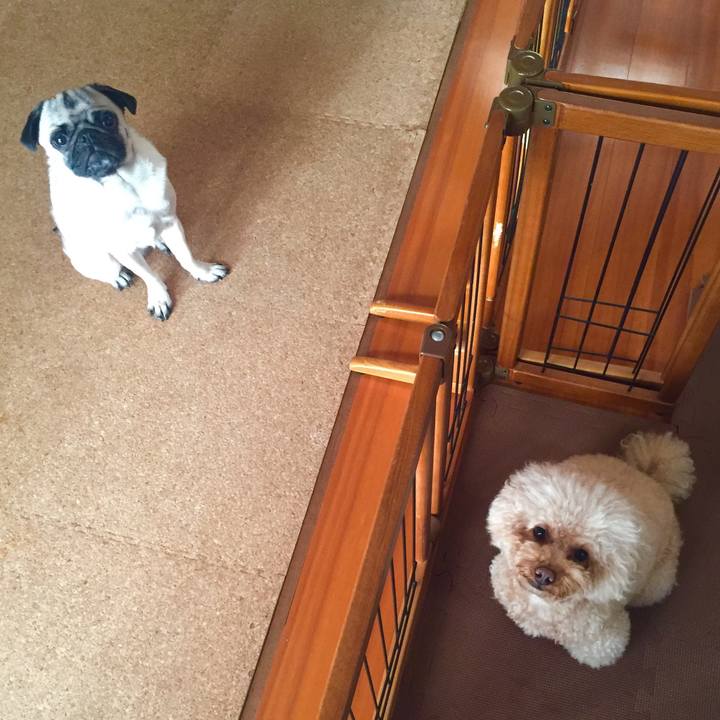 0658ab03 6b8c 4ef6 8367 7d3593e83eaa