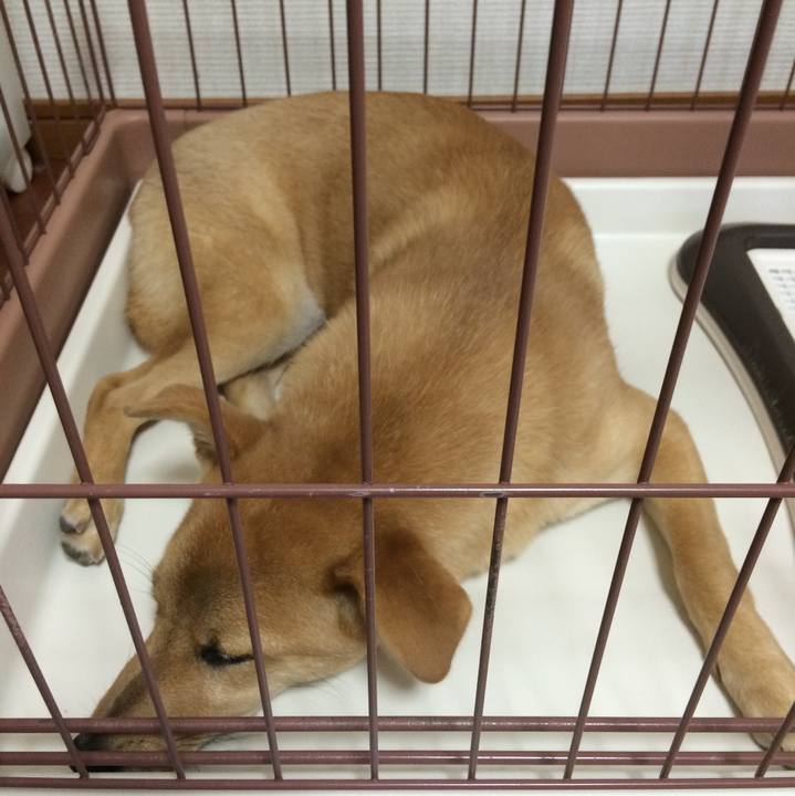 0658ed95 de17 4df2 b052 26b296ba0294