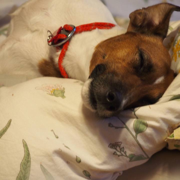 0658f056 ecab 4d75 8919 15c0224e4f39