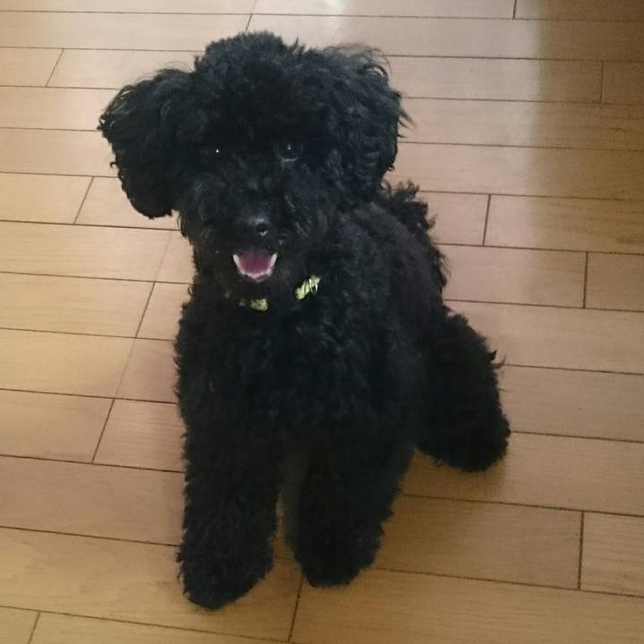 065935ab 08b7 4ae5 896f e96efec353fa