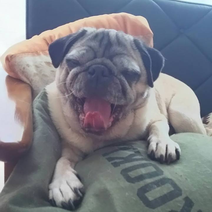 06594cab 7604 4d6c 98f5 718d6a4d5111