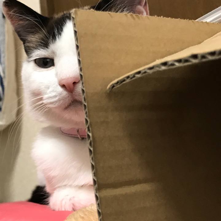 06594de2 d0c4 43f8 bc12 361f7509d577