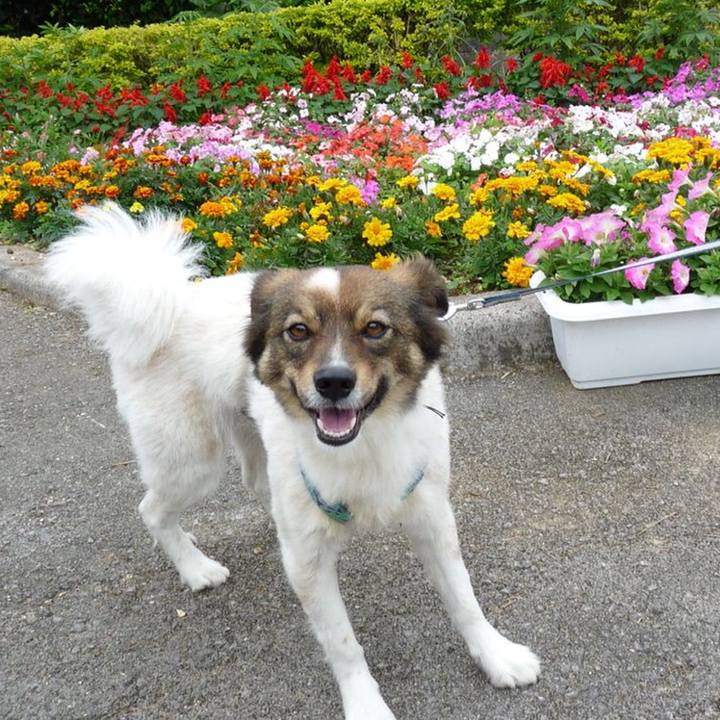 06597e60 c0fd 4da8 b68e 9531a1df54c5